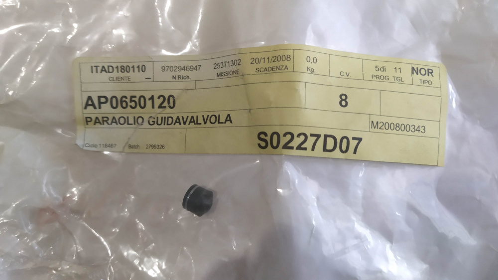 paraolio guidavalvola