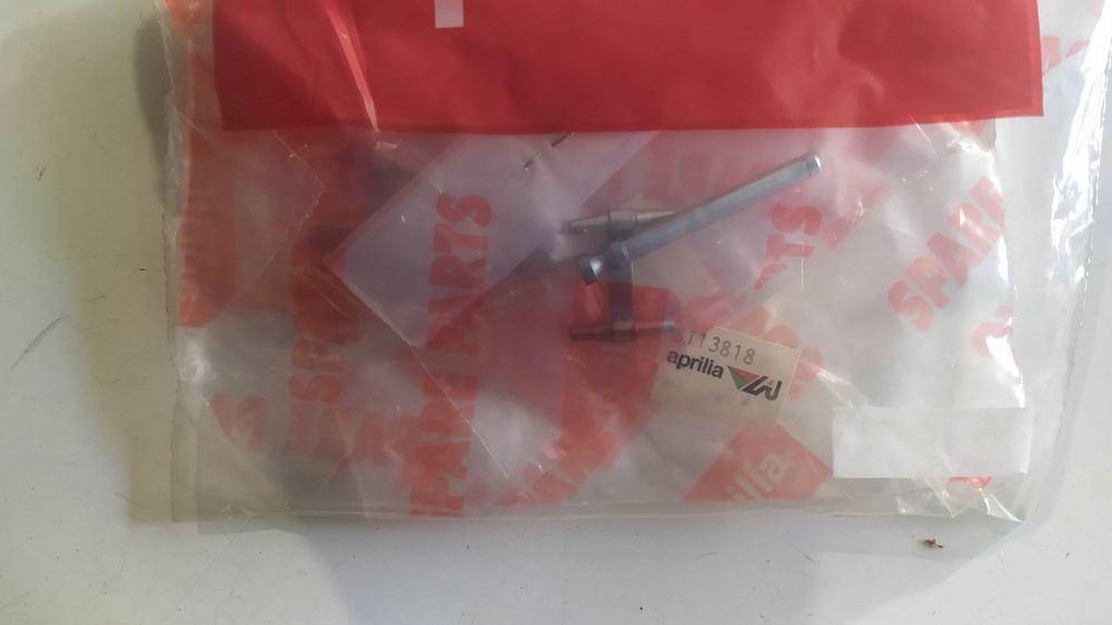 perno + molla pinza