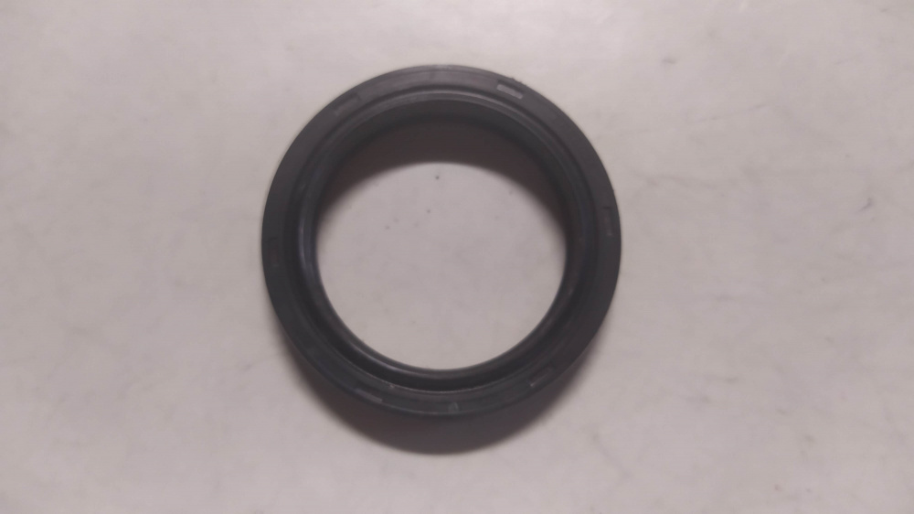 paraolio forcella beta 150804