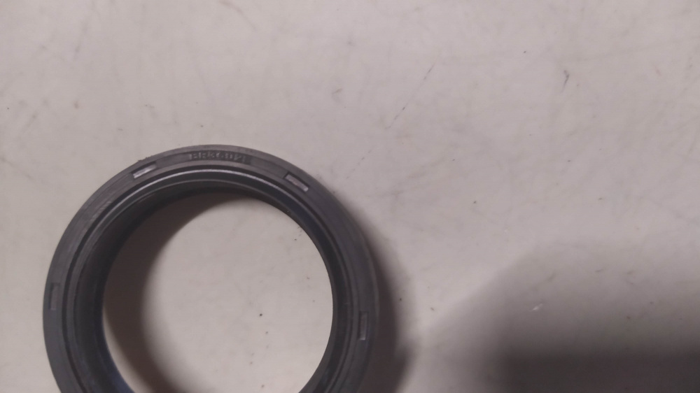 paraolio forcella beta 150804