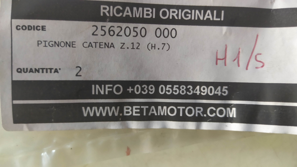 pignone catena z12 beta