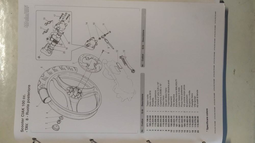 catalogo ricambi originale malaguti ciak 50 - twin disk - ciak 100