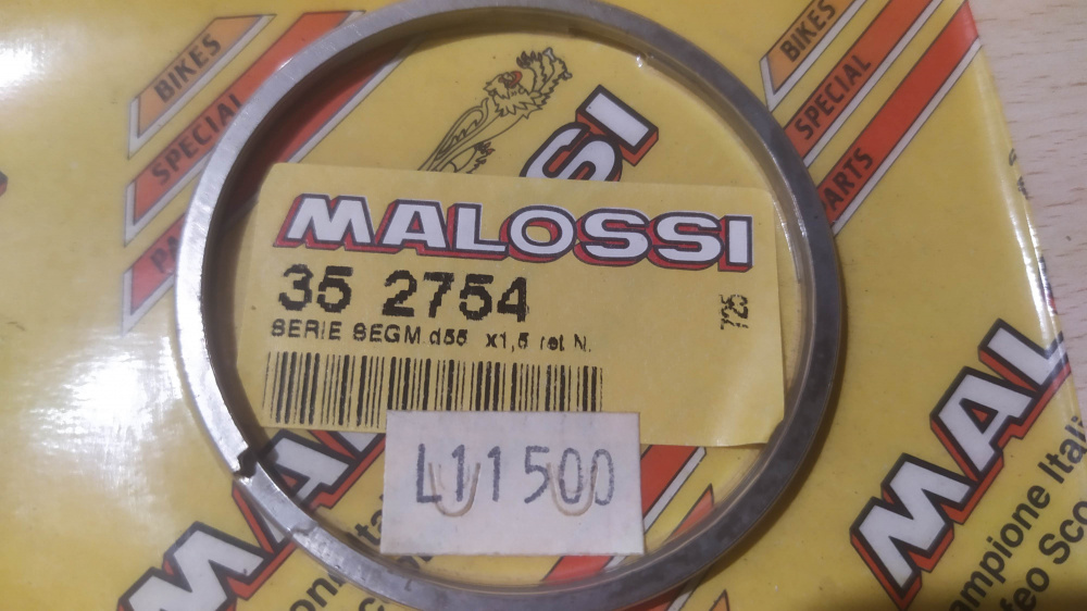 2 segmenti 55x1,5 rettangolari malossi